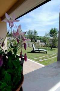 Fiori rosa in primo piano, con vista su un giardino e due lettini da sole.