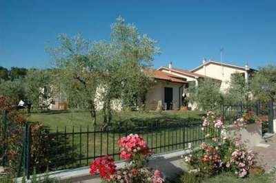 Casa con giardino verde e rose in fiore, recintato con una siepe di piante.