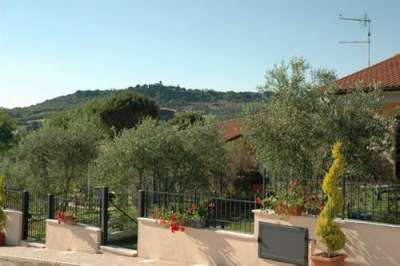 Giardino con ulivi e cespugli fioriti, vista su colline in lontananza.