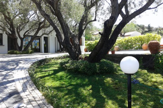 Un vialetto curvo con grandi alberi e una lampada sferica, vicino a un edificio bianco.