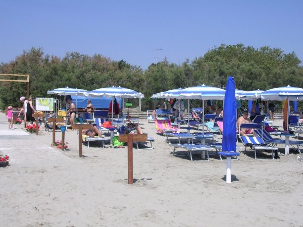 Spiaggia con ombrelloni blu e lettini, frequentata da bagnanti sotto il sole.