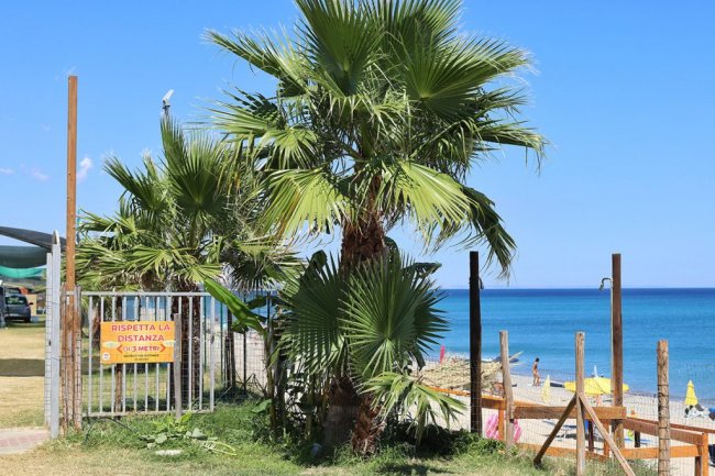 Spiaggia con palme e cartello 