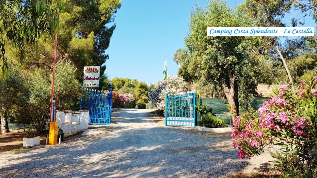 Ingresso con cancello blu e alberi intorno.