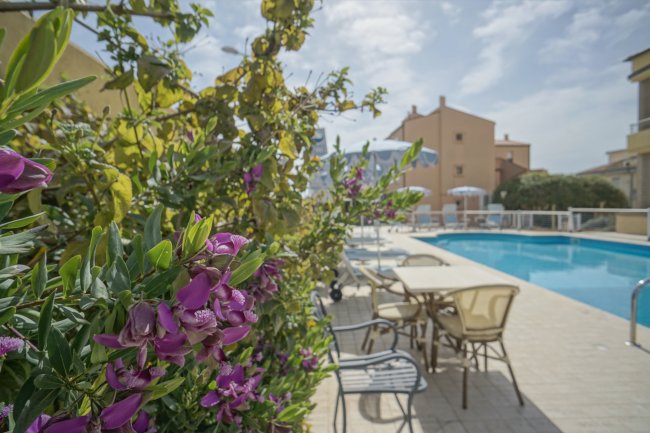 Giardino con cespugli di fiori viola accanto a una piscina con sedie e tavoli.