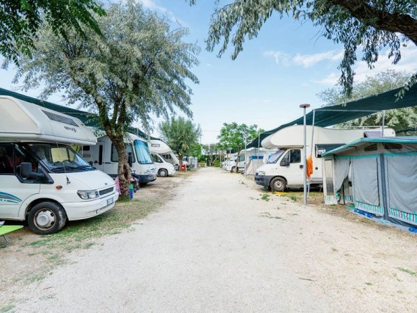 Camper parcheggiati lungo un sentiero alberato in un campeggio.