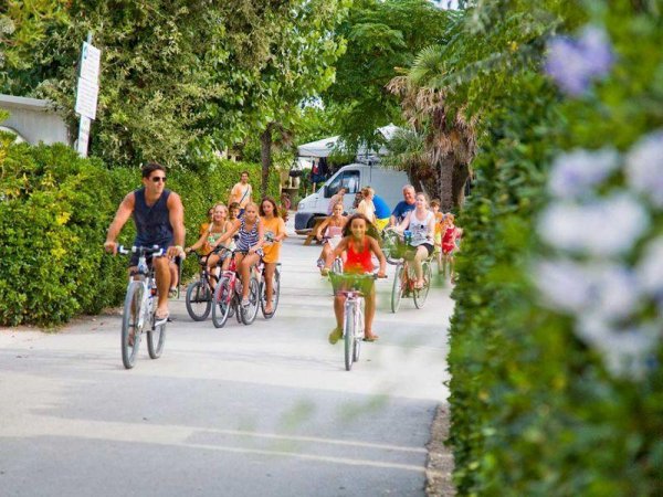 Gruppo di persone in bicicletta su una strada circondata da vegetazione.