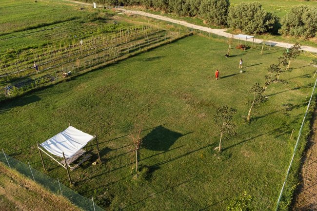 Ampio prato con due persone in lontananza e un'area ombreggiata da un tendone bianco.