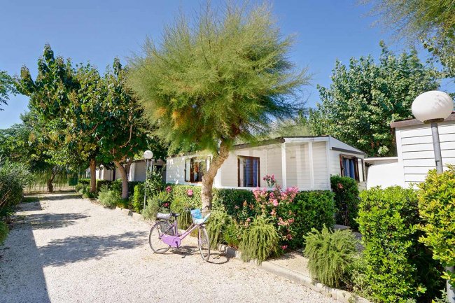 Giardino con mobilhome, alberi, cespugli fioriti e una bicicletta viola lungo il sentiero.