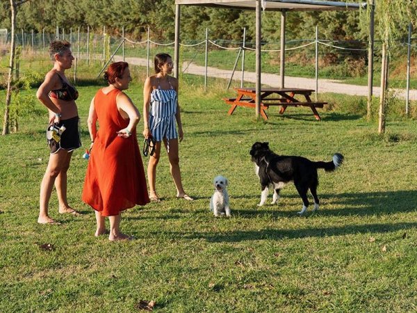 Tre donne e due cani in un'area verde con tavolo da picnic.