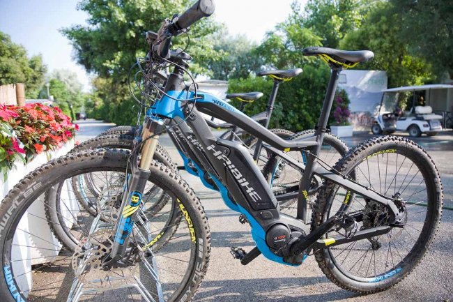 Due mountain bike elettriche nere e blu parcheggiate su un vialetto.