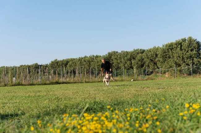 Un uomo corre con un cane su un prato verde con alberi sullo sfondo.