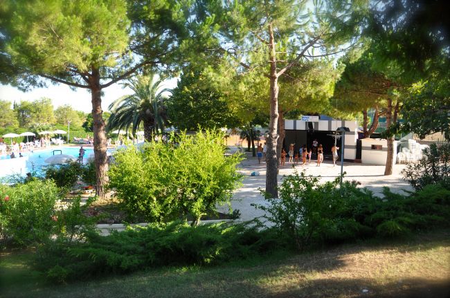 Un giardino alberato con una piscina e alcune persone vicino a un edificio.