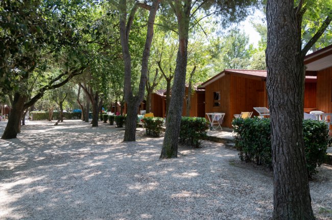 Una fila di bungalow in legno tra alberi e cespugli.