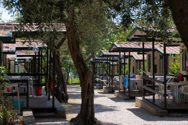 Una fila di bungalow con terrazze all'aperto in un campeggio alberato.