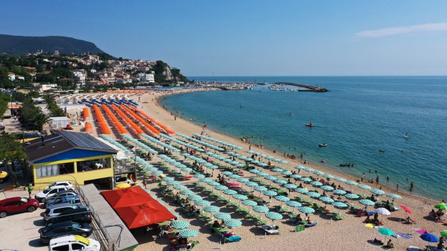 Vista aerea di una spiaggia con file di ombrelloni verdi, mare calmo.