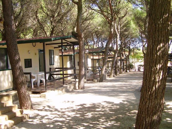 Casette tra alberi, disposte lungo un sentiero in un'area ombreggiata.