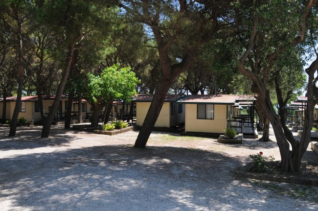 Piccole case tra gli alberi in un campeggio, con ombra e luce a chiazze sul terreno.