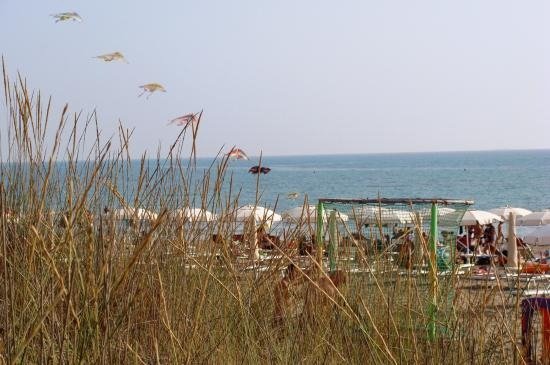 Spiaggia vista tra le dune, con ombrelloni bianchi e mare azzurro sullo sfondo.