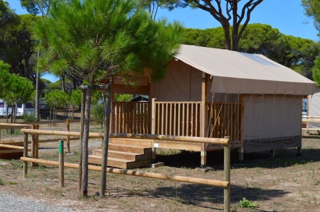 Tenda safari con veranda in legno, circondata da alberi.