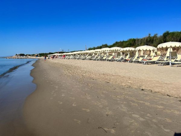 Lunga spiaggia con ombrelloni bianchi e cielo limpido.