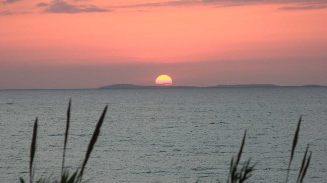 Tramonto sul mare con cielo rosa e nuvole, canne in primo piano.