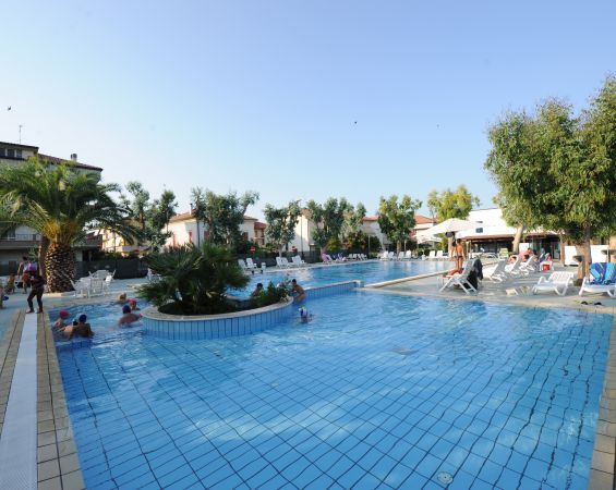 Piscina ampia con bambini, palme, e sdraio bianche.