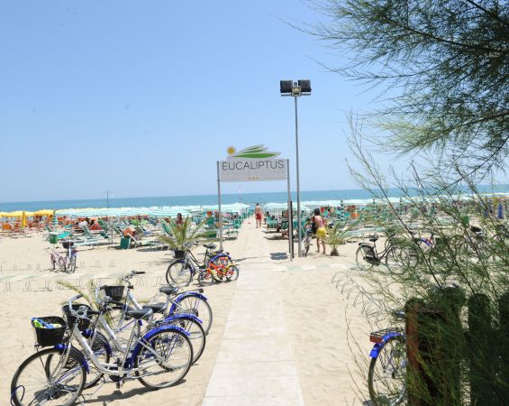 Spiaggia sabbiosa con biciclette e ombrelloni verdi.