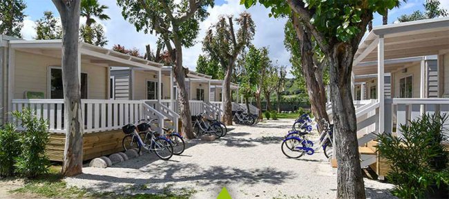 Bungalow di legno, biciclette parcheggiate su un vialetto alberato e soleggiato.