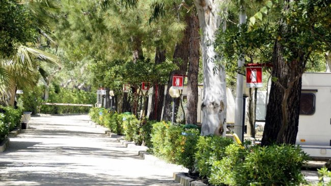 Un viale alberato in un campeggio con siepi ben curate e roulotte visibili.