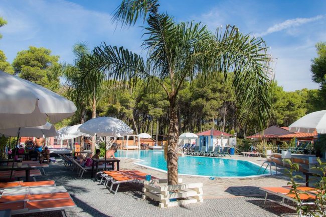 Piscina circondata da sdraio e ombrelloni, con palme e alberi sullo sfondo.