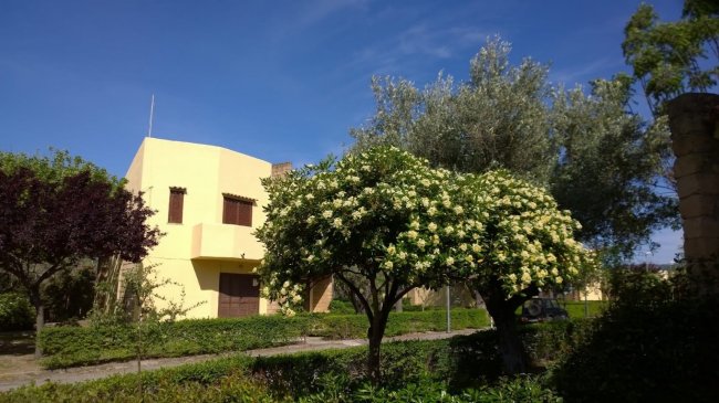 Edificio giallo circondato da alberi fioriti.