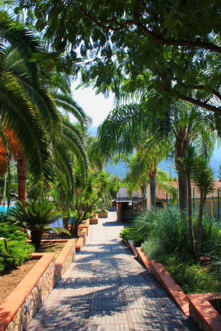 Un viale alberato con palme e muretti in pietra.