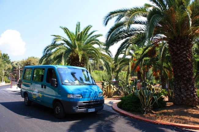 Furgone blu su strada con palme e vegetazione intorno.