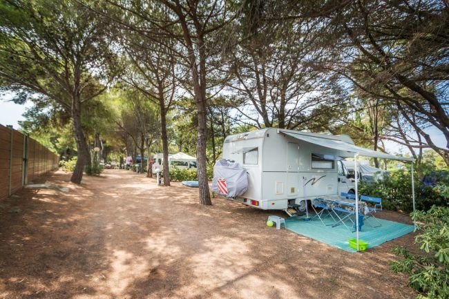 Camper parcheggiato in un'area camping ombreggiata da alberi.