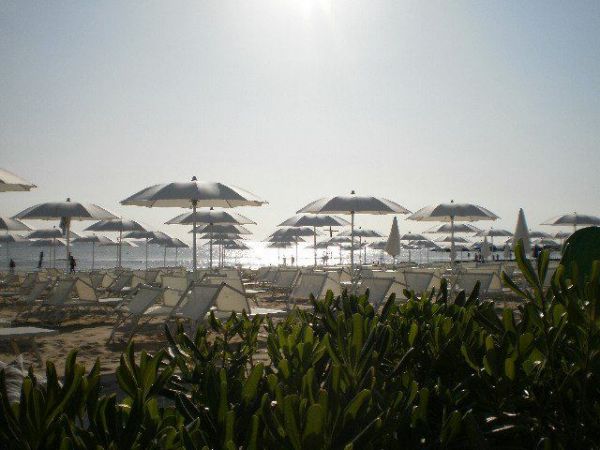 Spiaggia con file di ombrelloni e lettini, vista mare con sole splendente.
