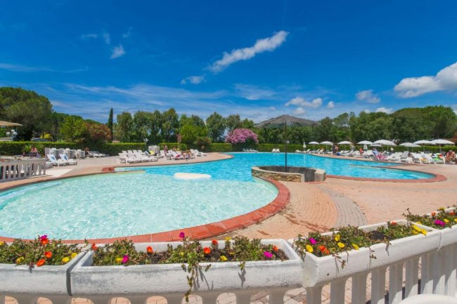 Piscina grande circondata da fiori e lettini.