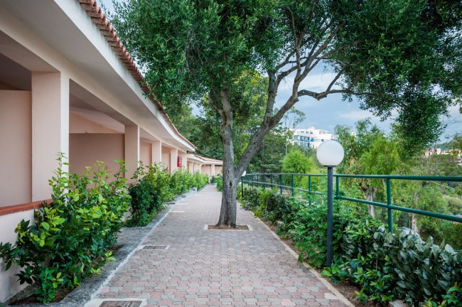 Un vialetto pavimentato con alberi e siepi verdi lungo l'edificio.
