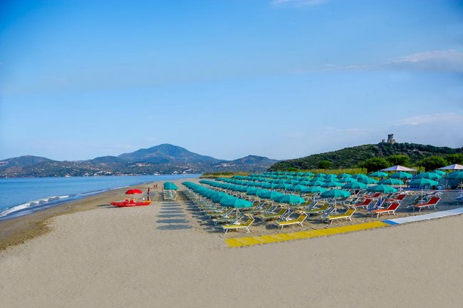 Spiaggia vuota con file ordinate di ombrelloni e lettini verdi, mare calmo sullo sfondo.