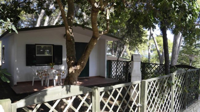 Una piccola casa bianca con patio, circondata da una staccionata e alberi.