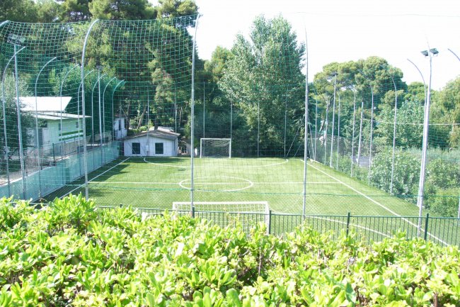 Campo da calcio recintato circondato da alberi e cespugli verdi.