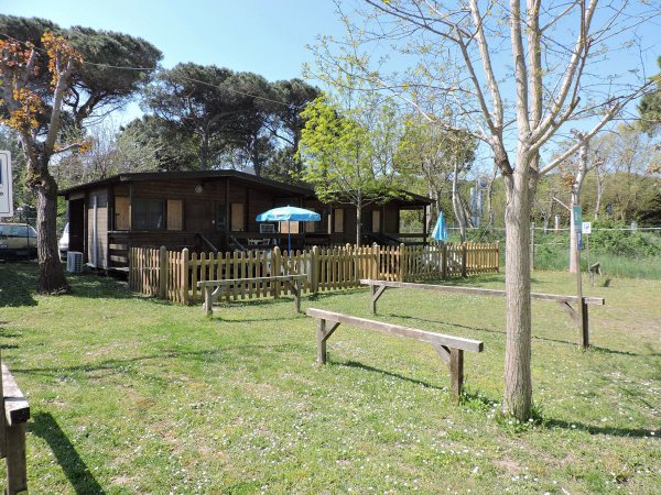 Cabinette in legno in un prato con alberi, recinti e ombrelloni blu.