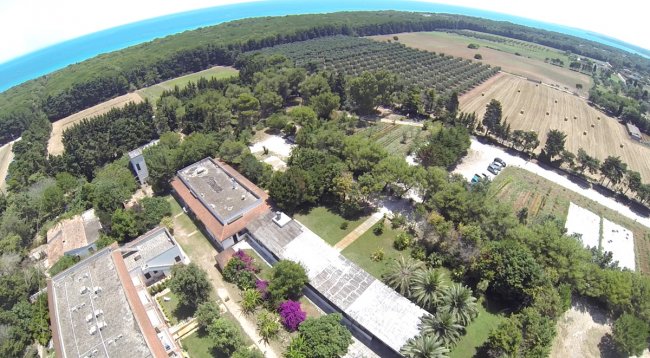 Veduta aerea di un grande complesso circondato da alberi e campi, con il mare all'orizzonte.