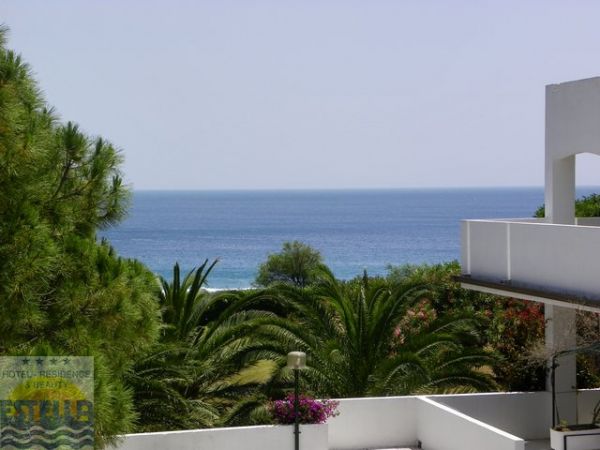 Vistamare con palme e vegetazione, cielo limpido e mare all'orizzonte.
