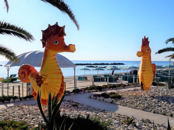 Due grandi cavallucci marini decorativi in un giardino di fronte alla spiaggia.