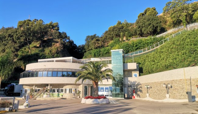 Edificio moderno con palme e vegetazione su una collina.