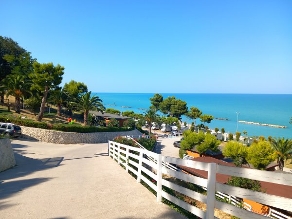 Un sentiero che scende verso una spiaggia con palme e un mare blu brillante.