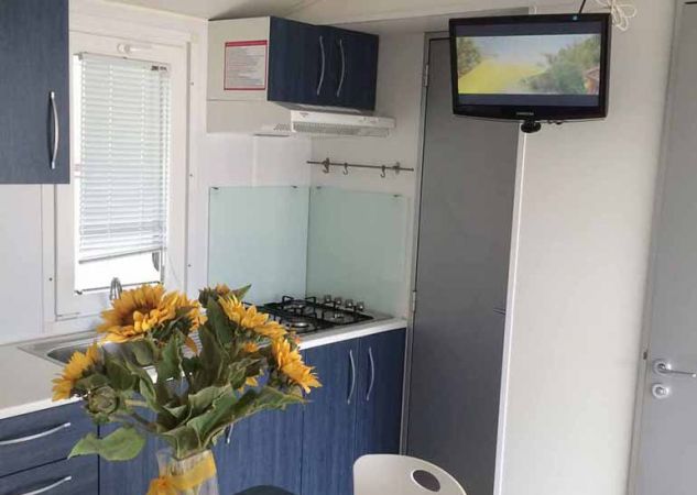 Cucina moderna con mobili blu, fiori di girasole sul tavolo e TV montata in alto.