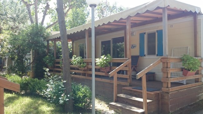 Casa mobile con veranda in legno, circondata da alberi e piante.