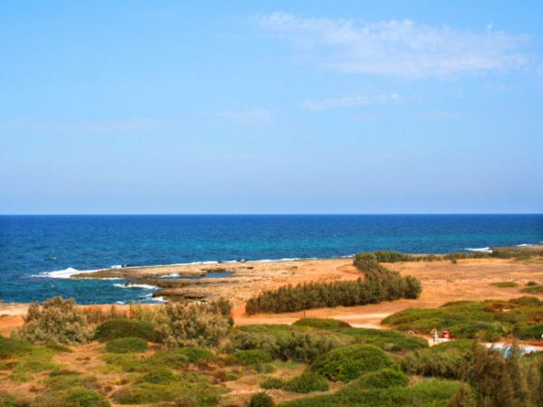 Costa rocciosa con vegetazione e mare blu sotto un cielo limpido.