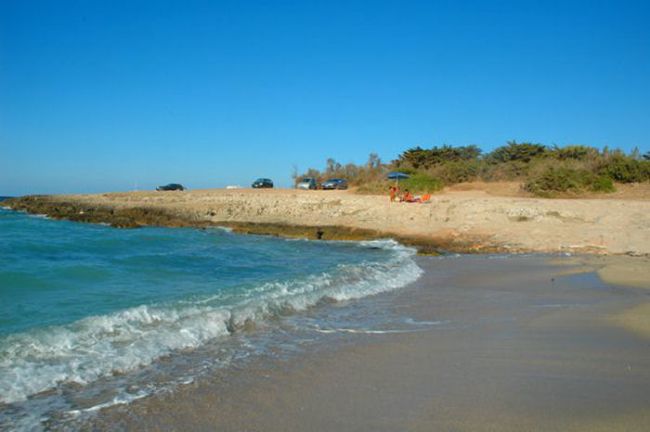 Spiaggia sabbiosa con onde e auto parcheggiate sulla riva, sotto un cielo blu.